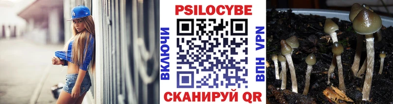Галлюциногенные грибы прущие грибы  наркошоп  Жирновск 